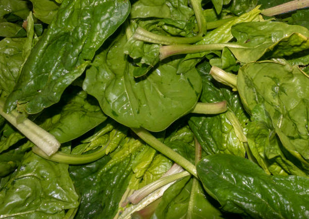 Vegetables washing