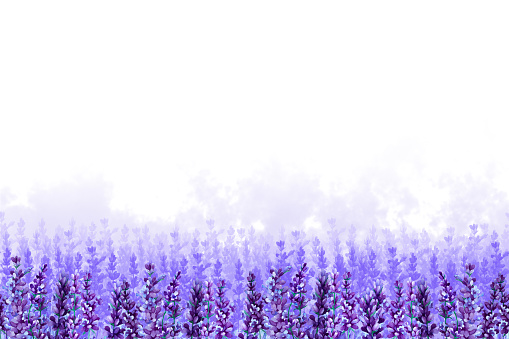 Endless field of lavender flowers with lilac fog on a white background. Hand drawn watercolor illustration. Copy space.