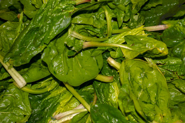 Vegetables washing