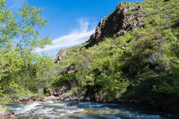 istock Fast river in mountain gorge. Stream with stone banks and green plants 1219208467