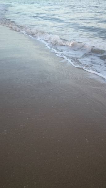 istock Wave of the sea on the sand beach 1219209794