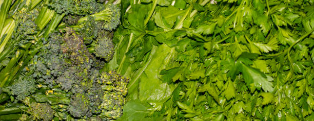Vegetables washing