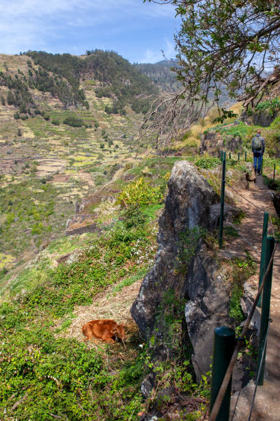 istock Man going for a walk in the mountains 1219211102