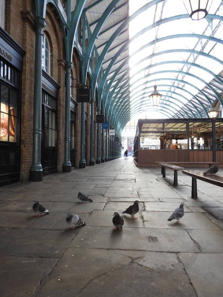 Coronavirus London Lockdown - Covent Garden market is empty during the coronavirus pandemic London / UK - March 23rd 2020: London's normally busy Covent Garden and Neal Street, popular tourist destinations are nearly empty as people are told to  self isolate during the COVID-19 coronavirus paternoster square stock pictures, royalty-free photos & images