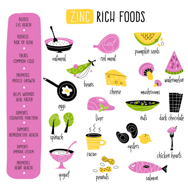 Vector cartoon illustration of zinc food sources and information about it benefits. Infographic poster Vector cartoon illustration of zinc food sources and information about it benefits. Infographic poster. zinc stock illustrations