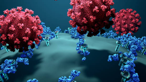 Antibodies block a virus from entering a body cell, Immune system defends the body against infections and diseases Antibodies block a virus from entering a body cell, Immune system defends the body against infections and diseases viral antigen stock pictures, royalty-free photos & images