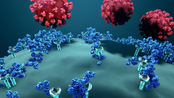 antibodies block a virus from entering a body cell, immune system defends the body against infections and diseases - anti bacteria imagens e fotografias de stock