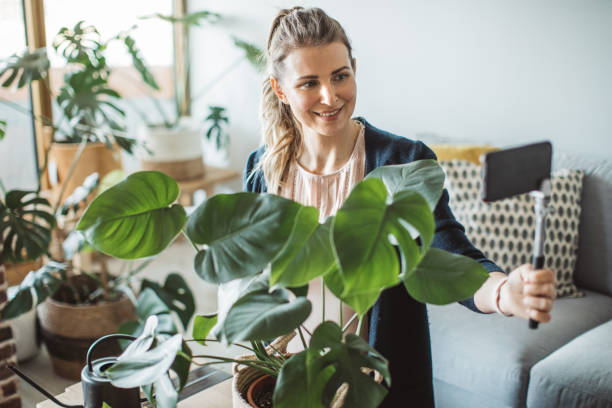 istock Making vlog about plants in pandemic situation 1219221451