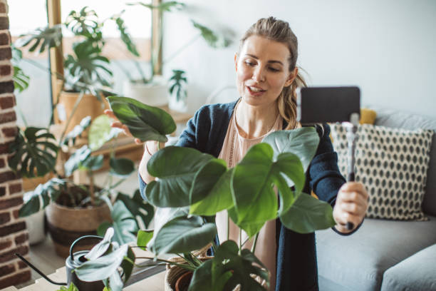 istock Making vlog about plants in pandemic situation 1219221823
