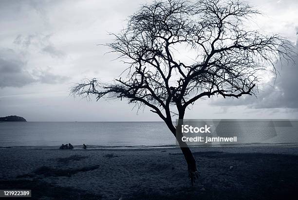 Foto de Praia Espetacular Com Tree Em Preto E Branco e mais fotos de stock de Cena Não-urbana - Cena Não-urbana, Cena de tranquilidade, Céu Tempestuoso