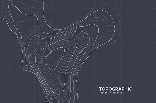Topographic map background with copy space. Abstract map lines and contours. Geographic grid, vector illustration