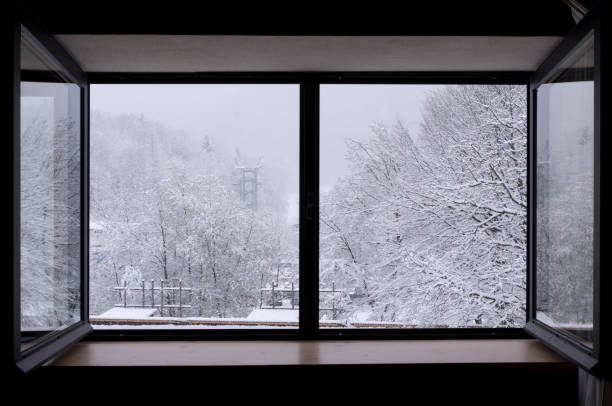 istock View from windows into snowy landscape 1219225039