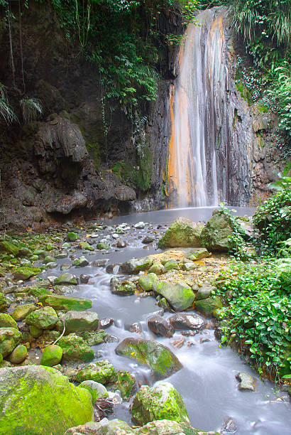 美しいダイヤモンド滝のセントルシア - st lucia antilles eco tourism tourism ストックフォトと画像