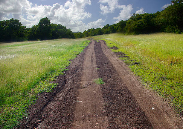 Low angle view of a two lane blacktop road through the rural farmland featuring a single tenacious weed growing stubbornly along the berm edge, Pennsylvania, PA, USA.