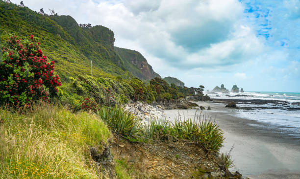 Motukiekie Beach close to Paparoa National Park, New Zealand Waipukurau, New Zealand. punakaiki stock pictures, royalty-free photos & images
