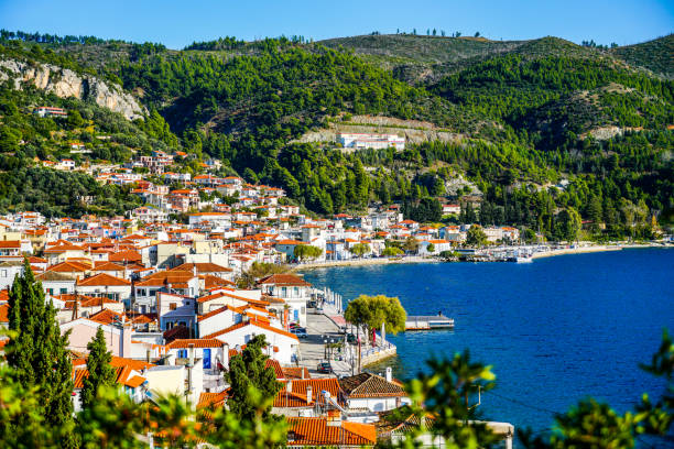 istock Landscape with sea view of Evia in Greece 1219228199