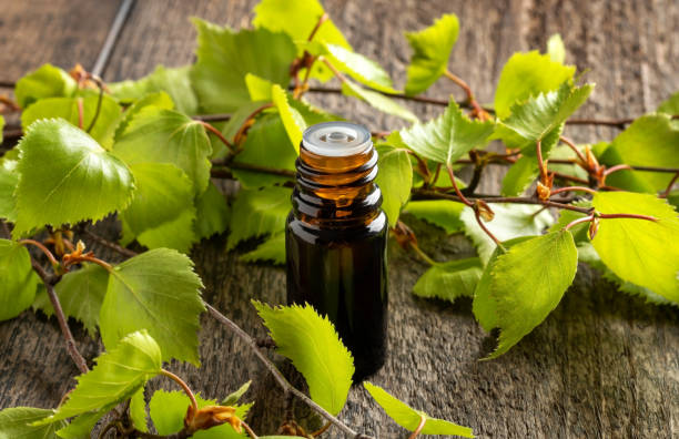 istock A bottle of essential oil with fresh birch branches 1219228251