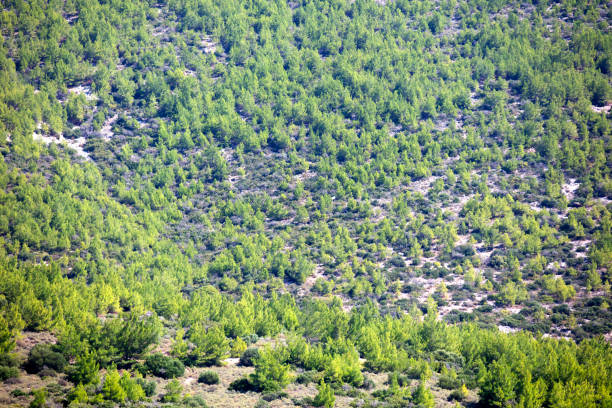 mountain landscape .Beauty in nature. Holiday and summer background.