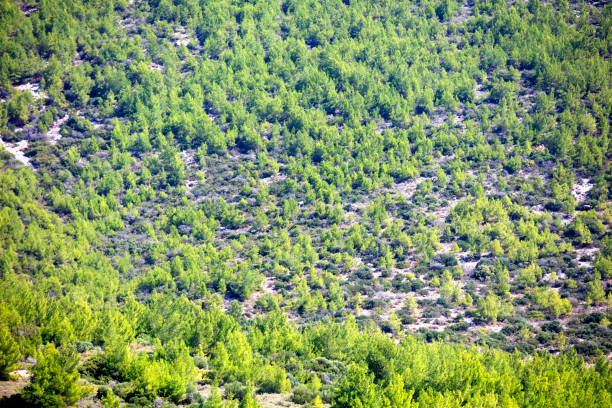 mountain landscape .Beauty in nature. Holiday and summer background.