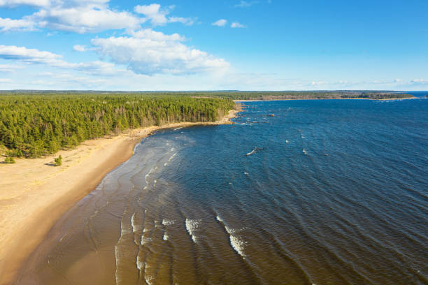 istock The Baltic sea coast with a beautiful sandy beach from the top view. 1219230898