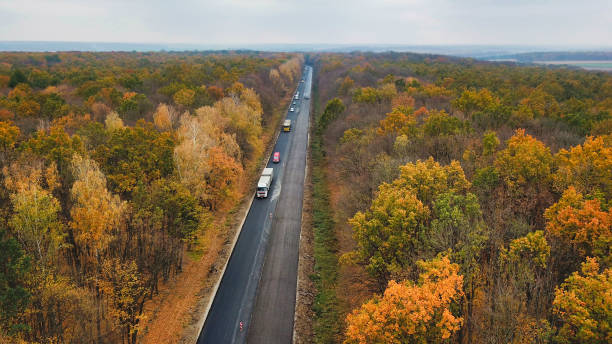 istock Road in the autumn forest. 1219232067