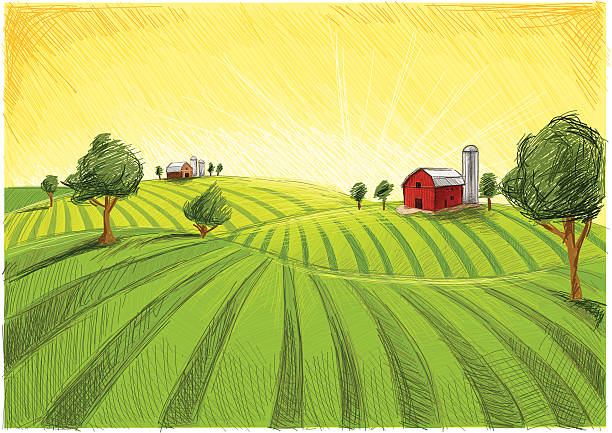 old barn and field  farm drawings stock illustrations