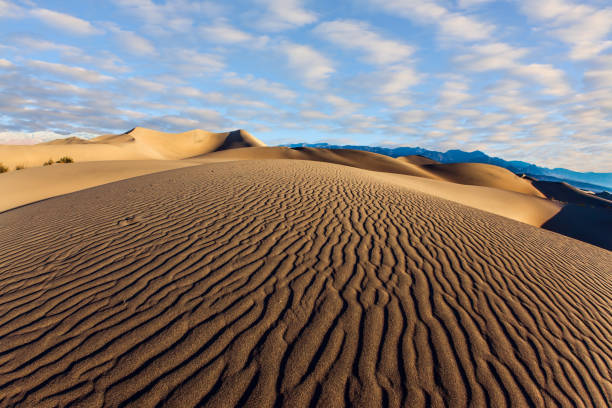 istock Magic play of light on the sand 1219232502