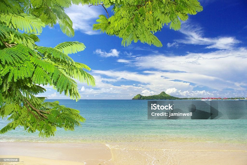 Atemberaubenden tropischen Strand-Landschaft mit grüne den Vordergrund Filialen - Lizenzfrei Saint Lucia Stock-Foto