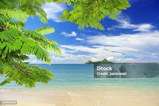 Zapierające Dech W Piersiach Krajobraz Tropikalnej Plaży Z Zielonym Tle Gałęzi - zdjęcia stockowe i więcej obrazów St Lucia