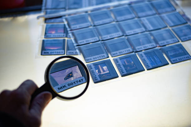 istock Photo slides on a light table being analyzed with a magnifying glass and rearranged by the photographer during the period of social isolation and quarantine in Covid19 1219235098