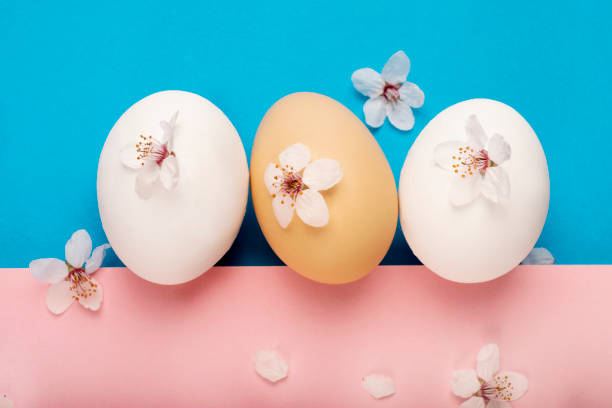 istock Easter eggs lie on a bright pink-blue background. Sakura flowers lie on the background and decorate the Easter composition. Spring Religious holiday Easter. Easter time. 1219236287