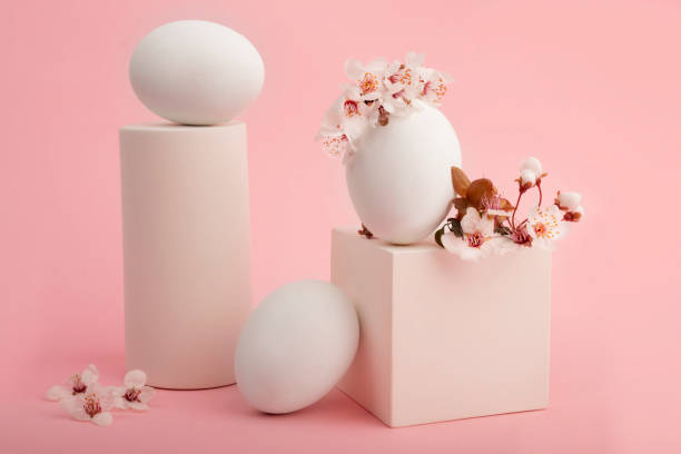 アートコンポジション、ピンクの背景に桜の花を持つ白い卵。白い幾何学的形状、花と卵と立方体の姿。春のミニマリスト構成。イースター休暇。 - natural form ストックフォトと画像