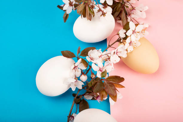 istock Easter eggs lie on a bright pink-blue background. Sakura flowers lie on the background and decorate the Easter composition. Spring Religious holiday Easter. Easter time. 1219236464