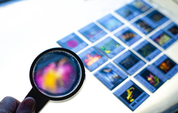 A magnifying glass focuses on a single Document icon from a row, symbolizing a detailed Audit, Investigation, or Research process. This professional Concept is ideal for themes of Business administration, Law, and Finance. It represents the Scrutiny and Analysis of Information and Data for Quality Control, Verification, and strategic Planning.