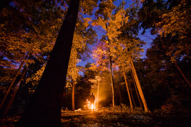 istock Friends at a campfire in upstate New York 1219238132