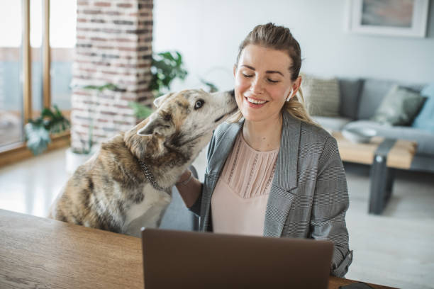 istock Women working during isolation period 1219240094