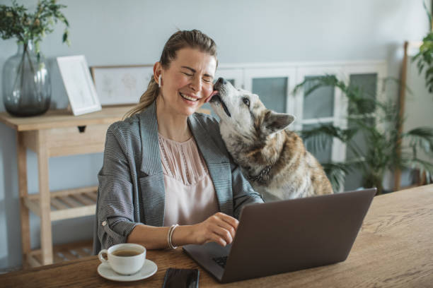 istock Women working during isolation period 1219240186