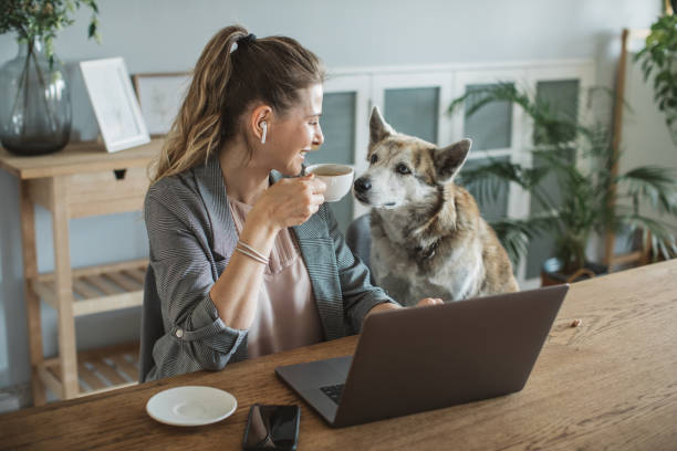 istock Women working during isolation period 1219240431