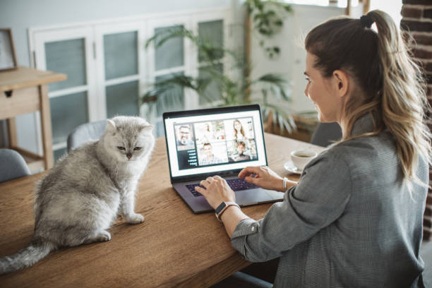 istock Women working during isolation period 1219240464