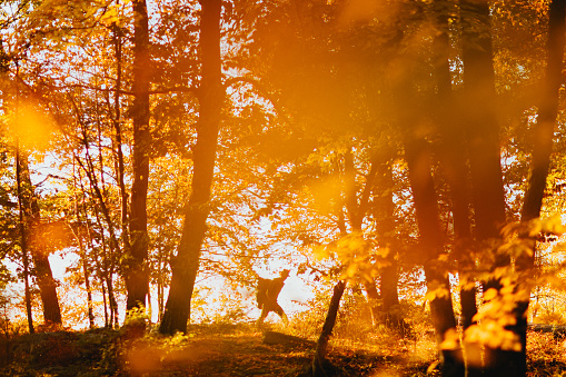 Man hiking alone on a beautiful Autumn day in Upstate New York with fall foliage bright around him