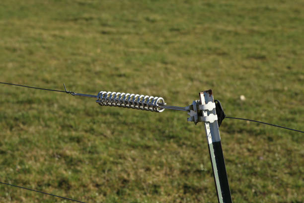 Electric fence gate protects a green grass pasture.