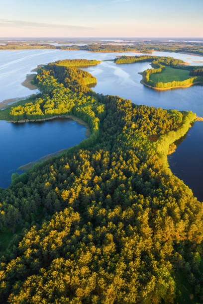 National park Braslau Lakes, Belarus Beautful peninsula between lakes Niedrava and Niespish, National Park Braslau Lakes, Belarus braslav lakes stock pictures, royalty-free photos & images