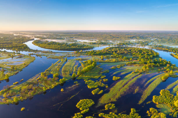 istock River in the morning 1219245684