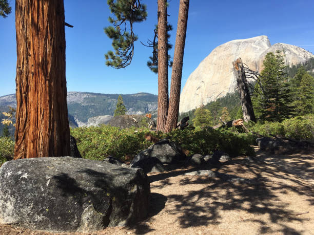 Half Dome at sunrise with blue and gold hues.
