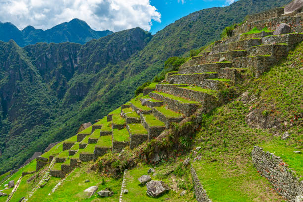 Agriculture Terraces, Machu Picchu, Peru Agriculture Terraces in the Inca ruin of Machu Picchu, Cusco, Peru. terraced field stock pictures, royalty-free photos & images