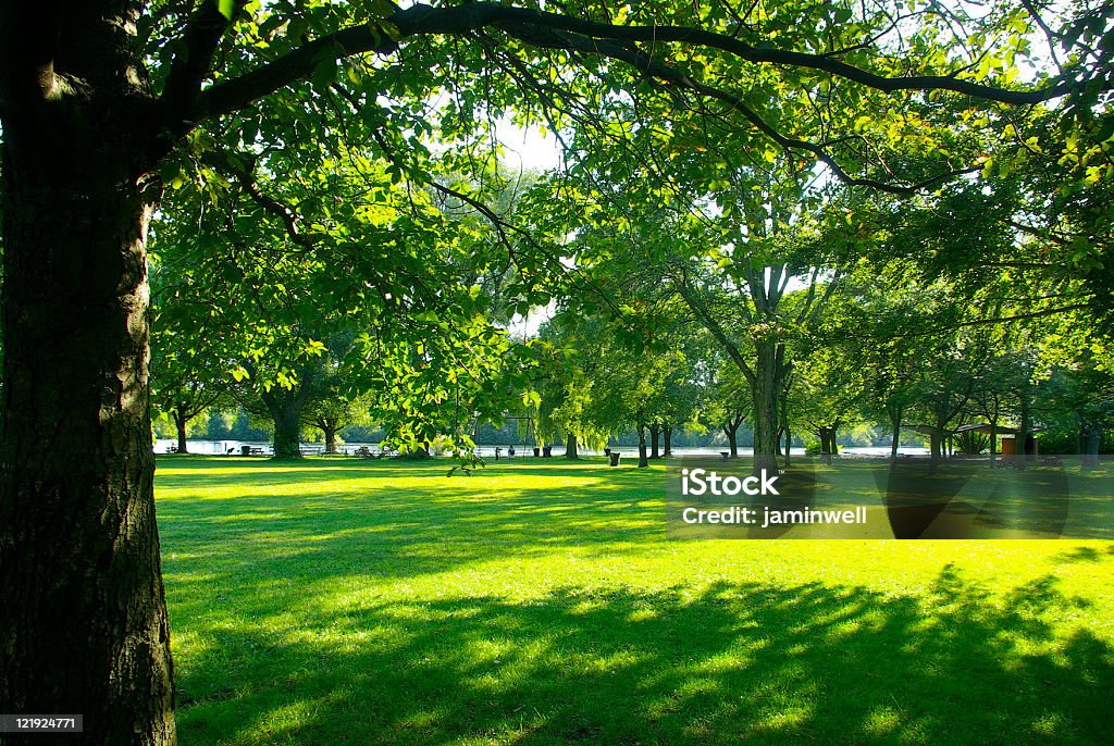 Parco con bellissimo giardino e alberi Center IslandToronto in Canada - Foto stock royalty-free di Penombra