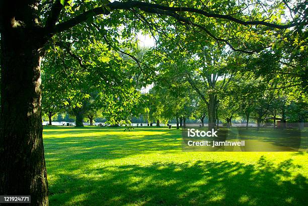 公園美しい芝生とツリーセンター Islandtoronto Canda - 陰のストックフォトや画像を多数ご用意 - 陰, 樹木, トロント