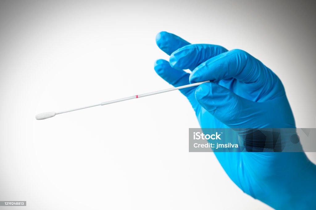 Hand with latex glove holding swab for coronavirus testing Coronavirus Testing Cotton Swab Stock Photo