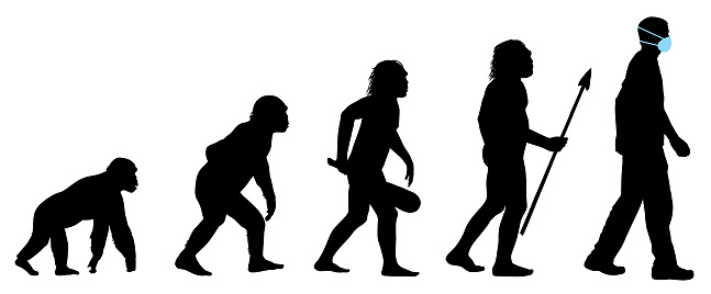 Evolution of a human with medical face mask vector illustrations. From chimp to caveman to human with medical face mask for personal protection from viruses.