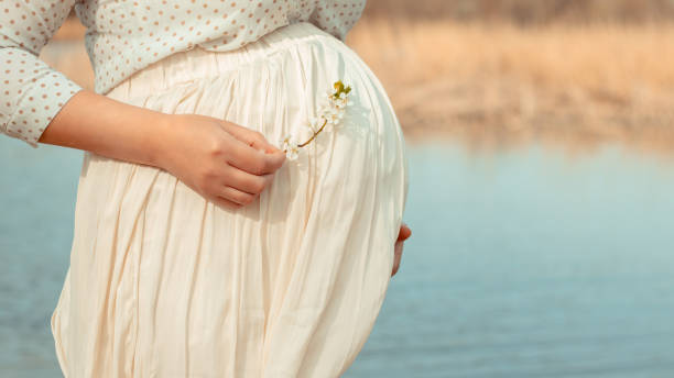 pregnant girl in a white dress on a background of a river. He hugs his stomach with his hands and holds a flowering branch of a spring tree. Vintage toning, focus on pregnant belly. Pregnancy planning pregnant girl in a white dress on a background of a river. He hugs his stomach with his hands and holds a flowering branch of a spring tree. Vintage toning, focus on pregnant belly. Family concept sensory perception photos stock pictures, royalty-free photos & images